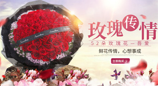 山西忻州五台县茹村乡南茹村鲜花速递